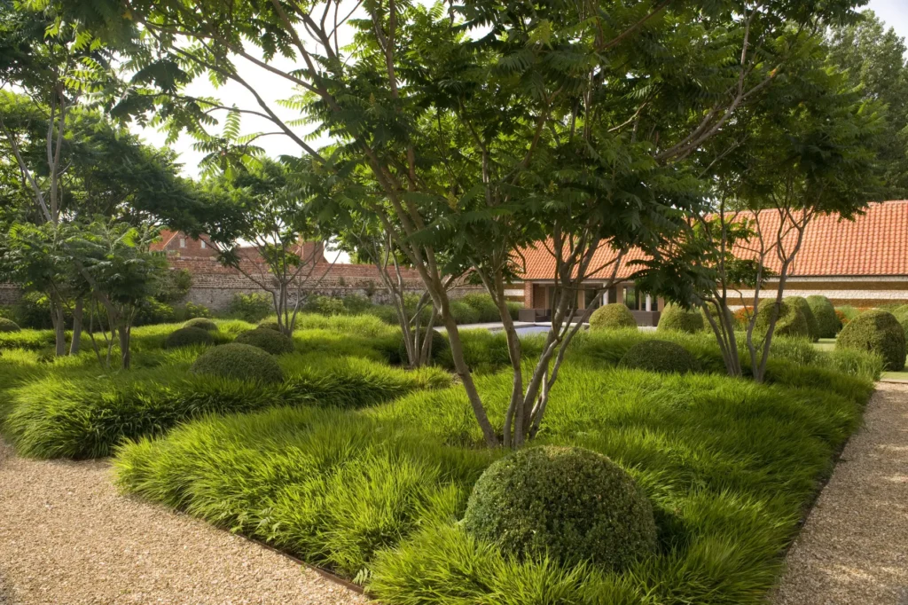 Гребля hreblia випадково розкидані рослини матриця