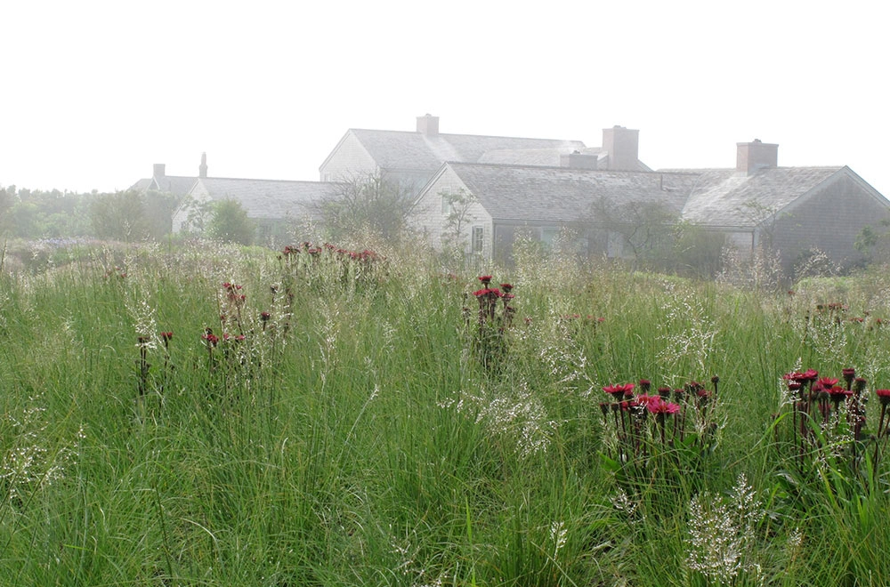 Гребля hreblia матрична посадка ехінацея споробол