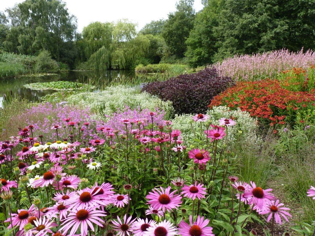 гребля hreblia змішування блоків ехінацея блоки