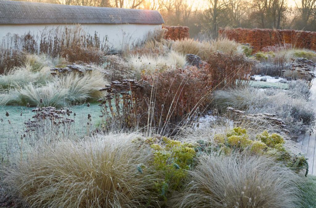 Сезонні рослини багаторічні квіти живопліт восени seasonal plants гребля