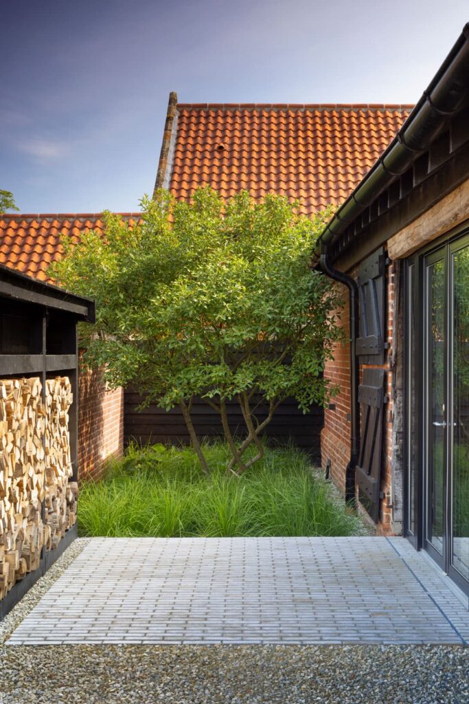 Ґрунтопокривні рослини структурні рослини багатостовбурне дерево сеслерія groundcover plants