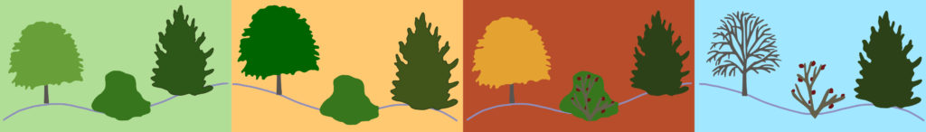 Дерева стрижені форми структурні рослини structural plants період декоративності структурних рослин гребля