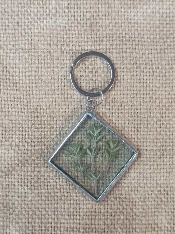 Підвіс з чебрецем гербарій з чербецю pressed flower dried flower thyme